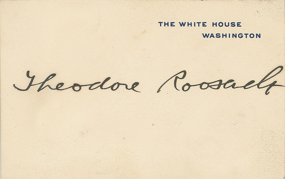 Lot #5050 Theodore Roosevelt